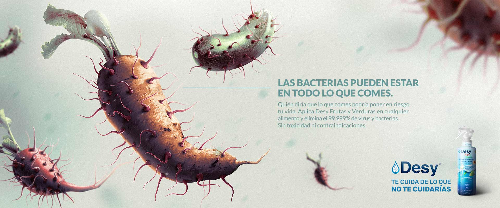 Las bacterias pueden estar en todo lo que comes